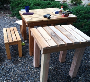 Picnic Table That Turns into a Bench